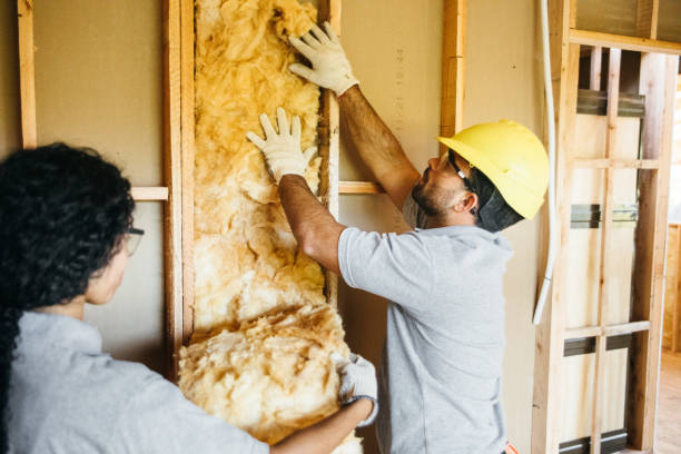 Best Best Insulation Companies  in Littlefield, TX